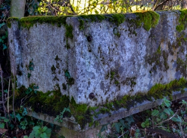 old trough