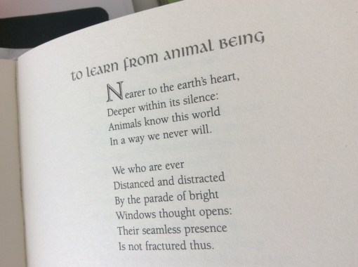 File 04-06-2017 11 10 33